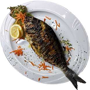 Gegrillte Dorade